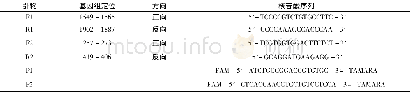 表1 肝细胞HBV DNA及ccc DNA定量检测引物列表