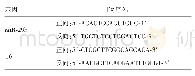 《表1 PCR引物序列：微RNA-29b在心肌缺血再灌注损伤中的作用及机制研究》