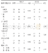 《表2 胃癌病人血管内皮生长因子（VEGF）及性别决定区Y框蛋白2(SOX2）表达与临床病理系数关系》