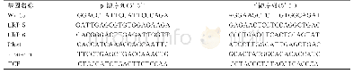 《表1 Wnt3a、LRP-5、LRP-6、Dkk1、β-catenin、TCF mRNA的引物序列》