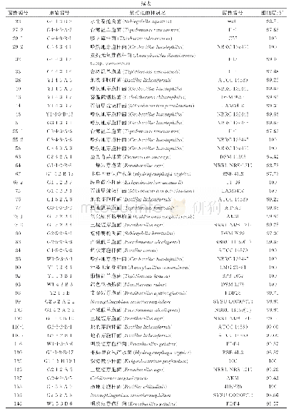 表3 从化温泉分离的71株菌株信息