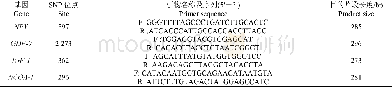 表1 4个基因PCR引物序列