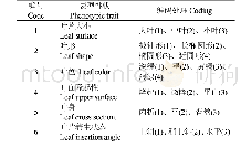 《表2 表型性状及其编码Table 2 The phenotypic traits and their coding》