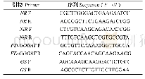 《表1 荧光定量PCR所需的引物序列》