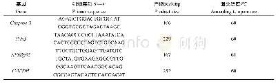 表1 目的基因q RT-PCR扩增引物序列