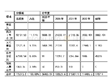 《表6‐3项目分年度投入进度及分领域资金结构一览表》