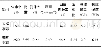 《表2 砂质泥岩物理力学性质参数Table 2 Initial physical parameters of sandy mudstone》