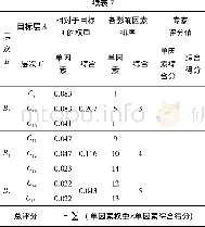 表7 防排水型式综合评价打分表Table 7 Comprehensive evaluation score for waterproof and drainage pattern