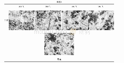 《表1 高温循环处理后试样颜色变化》