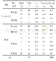 表4 隧道爆破参数(2.0 m)