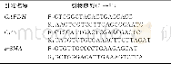表1 VSMC特异性表型标志物qRT-PCR检测所用引物序列