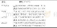 《表1 PCR引物及其序列》