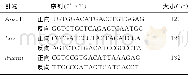 表1 PCR引物及其序列