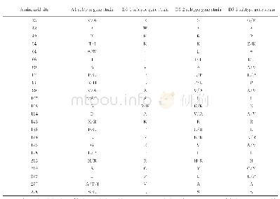 表4 4株埃可病毒11型（ECHO11）分离株与A1、D5基因型参考株VP1区氨基酸序列比较