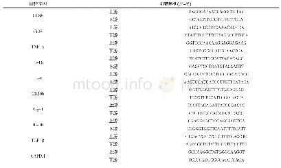 表1 引物序列Tab.1 Primer sequences