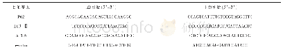 表1 引物序列：自噬相关基因在早产儿视网膜病变模型视网膜组织中的表达及临床意义