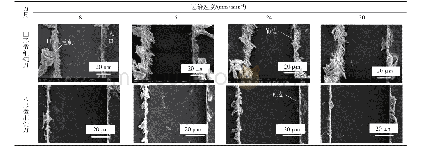 《表3 微细刀具不同进给速度切削骨组织表面形貌(n=40 000 r/min,ap=8μm)》