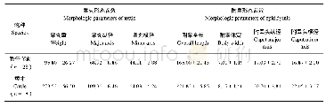 《表1 牦牛和黄牛睾丸、附睾的形态指标测定结果 (重量:g, 纵径或横径:mm)》