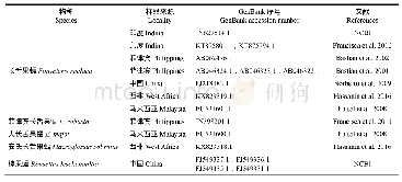 《表2 构建部分果蝠的系统进化树的Cyt b序列信息》