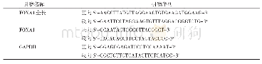 表1 引物序列：FOXA1基因表达CMV载体的构建