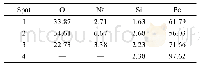 表2 盐雾腐蚀12 h表面腐蚀产物EDS结果