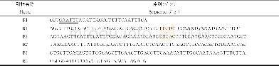 《表1 引物序列Tab.1 Nucleotide sequences of primers designed》