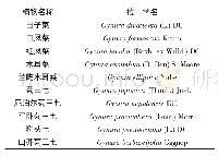 《表1 我国常见菊三七属植物的分类》