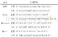 《表1 SOST、Wnt5a、β-catenin的引物序列》