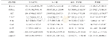 《表5 目的蛋白在各组中的总光密度值 (灰度值) 变化情况 (±s, n=3, IOD)》