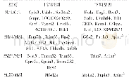 表3 各组共集基因列表（前10位）