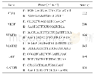 表1 基因及real-time PCR引物序列