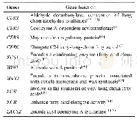 表1 果实中已克隆的部分蜡质基因