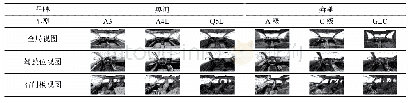 《表1 品牌识别测试内饰图片》