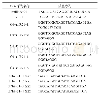 《表1 实验所用的DNA碱基序列》