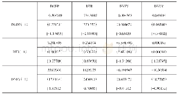 表8 VAR模型估计结果