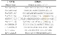 表1 荧光定量PCR引物列表