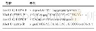 《表1 C/EBP质粒的引物序列》