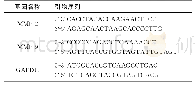 表2 RT-PCR引物序列