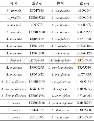 《表1 与供试鹅膏属4个标本r DNA~ITS序列相似的物种》