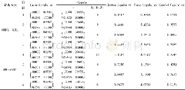 《表1 Copula模型的参数估计结果》