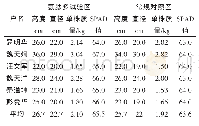 表1 大白菜经济性状指标比较