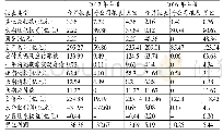 《表4 坚瑞沃能2016—2017年度财务数据》