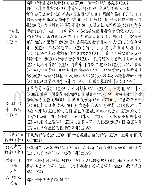 表1 截止2020年底IIA发布的补充指南