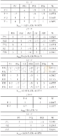 《表5 子准则层P各判断矩阵的最大特征根λmax、特征向量W和随机一致性比率CR》