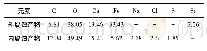 《表1 盘管内外壁腐蚀产物EDS测试结果(质量分数)》