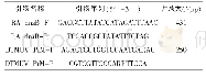 表1 引物信息：鸭疫里氏杆菌与鸭坦布苏病毒双重PCR方法的建立