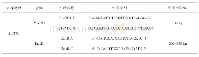 《表2 引物序列：线粒体NADH1基因和微卫星标记在棘球绦虫感染检测中的应用》