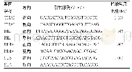 《表2 罕见缺失型--THAI/αα, --FIL/αα, --MED/αα, -α20.5/αα引物序列》