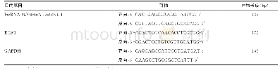 《表1 lncRNA NONHSAT250451.1、EGR1和GAPDH引物》