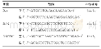 《表1 引物序列：p38-MAPK介导AT2R对低氧/复氧损伤后PC12细胞的保护作用研究》